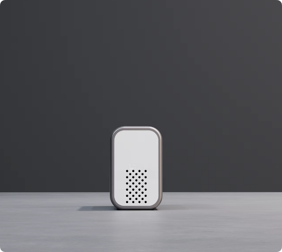 Electric Tire Inflator 5060004