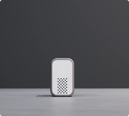 Electric Tire Inflator 5060004