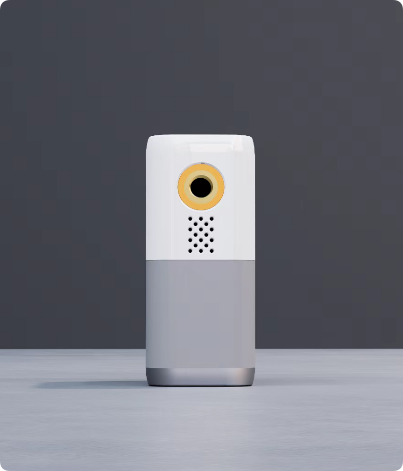 Electric Tire Inflator 5060004