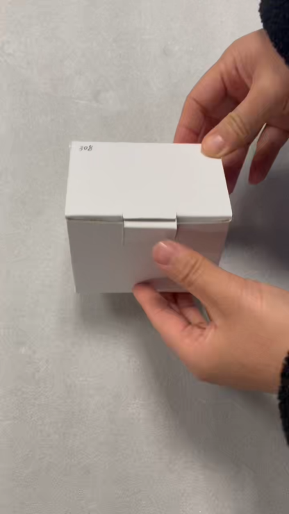 Electric Tire Inflator 5060004