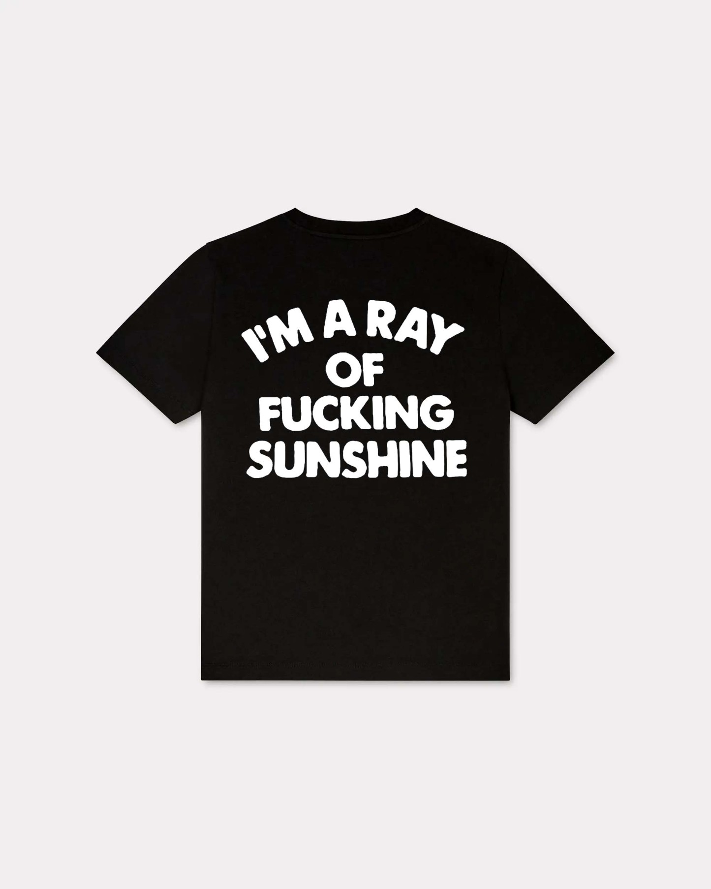I'm A Ray Of Fucking Sunshine T-shirt
