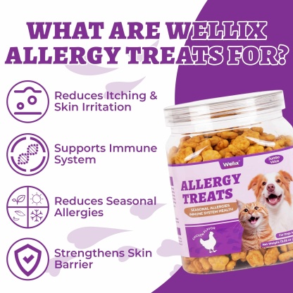 Wellix Calming Treats for Cats – 13.5oz Chicken-Flavored with Chamomile & Melatonin, Aids Relaxation & Anxiety Relief for Indoor Cats & Kittens-CritterCorner