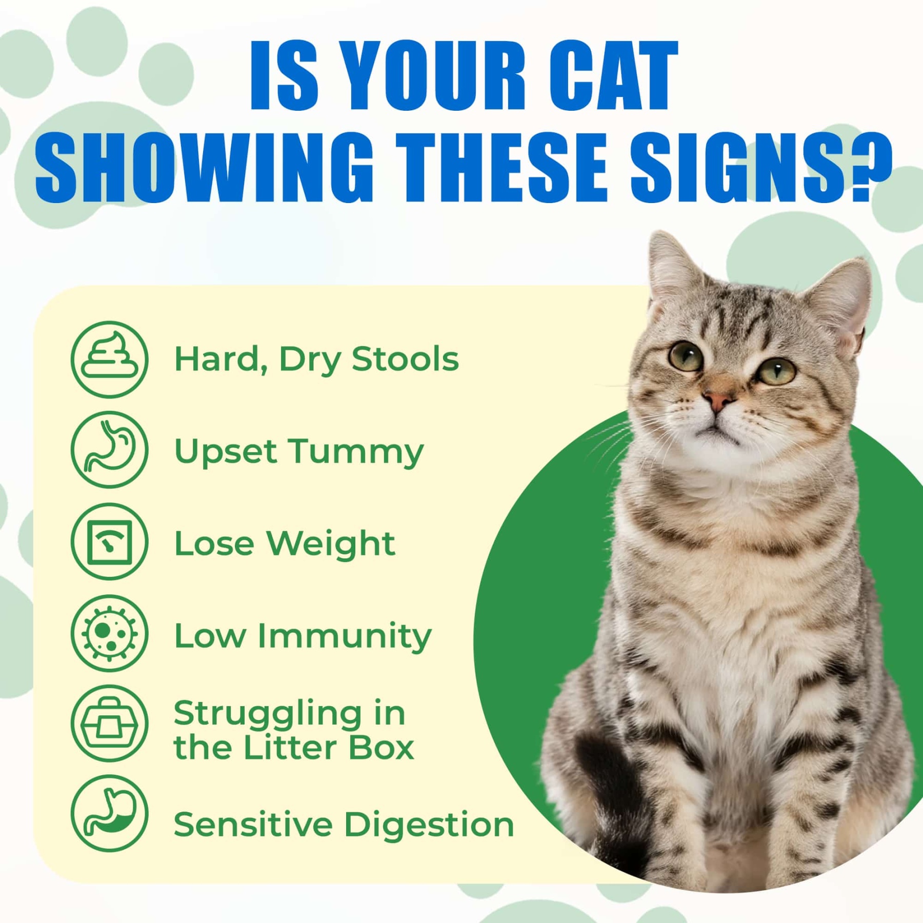 JUSTTRY Cat Probiotic Bites – For Cat Digestive Support & Cat Constipation Relief Chicken Flavored Cat Supplements, 6.35oz, 300 Bites-CritterCorner