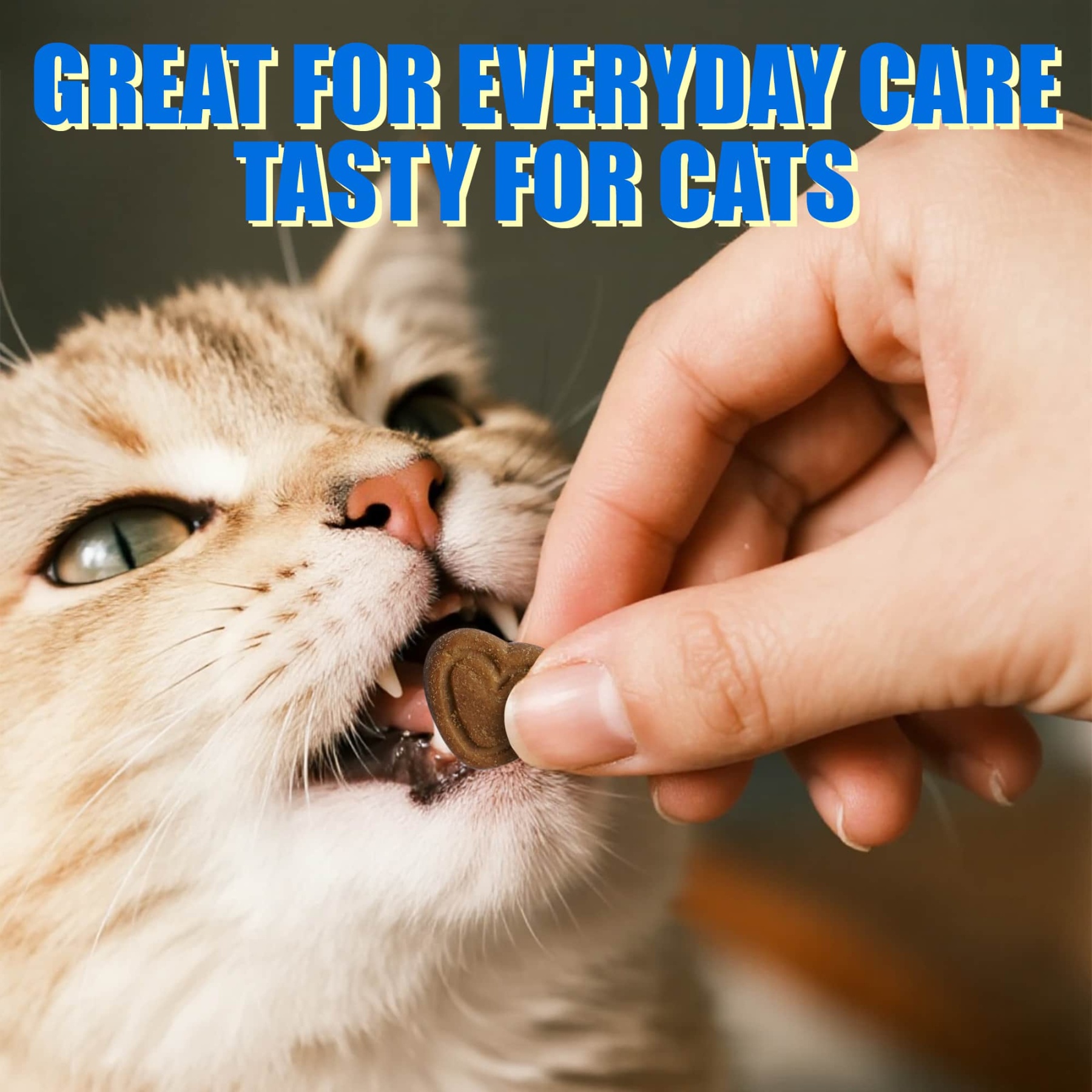 JUSTTRY Cat Probiotic Bites – For Cat Digestive Support & Cat Constipation Relief Chicken Flavored Cat Supplements, 6.35oz, 300 Bites-CritterCorner