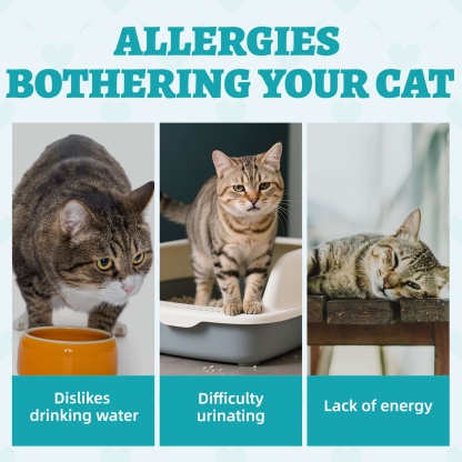 Wellix Urinary Tract Treats for Cats – 13.5oz Chicken-Flavored Biscuits with Dandelion & Cranberry, Supports Urinary Tract Health for Indoor Cats & Kittens-CritterCorner