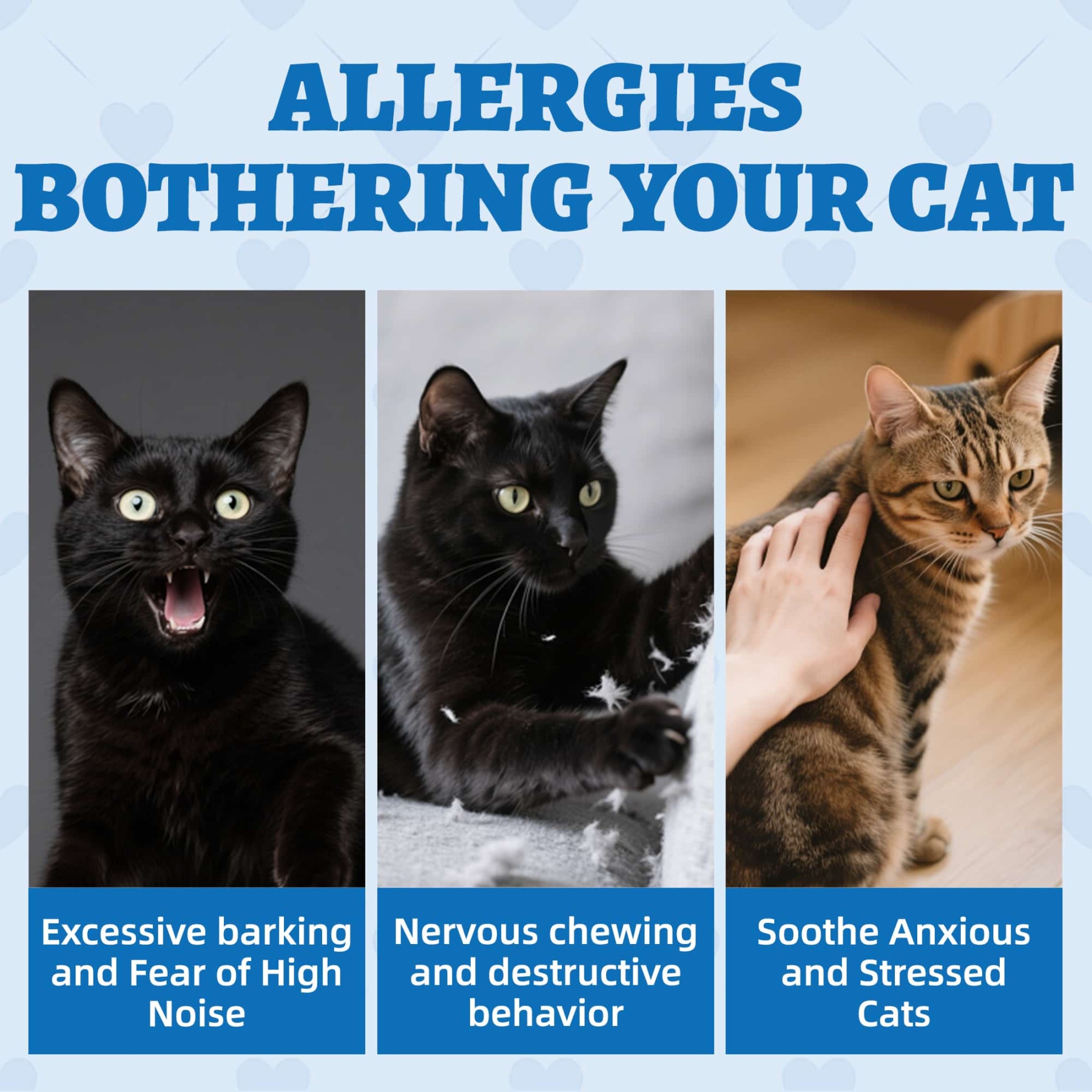 Wellix Calming Treats for Cats – 13.5oz Chicken-Flavored with Chamomile & Melatonin, Aids Relaxation & Anxiety Relief for Indoor Cats & Kittens-CritterCorner