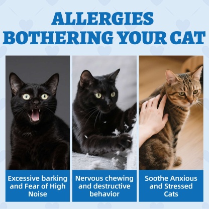 Wellix Calming Treats for Cats – 13.5oz Chicken-Flavored with Chamomile & Melatonin, Aids Relaxation & Anxiety Relief for Indoor Cats & Kittens-CritterCorner