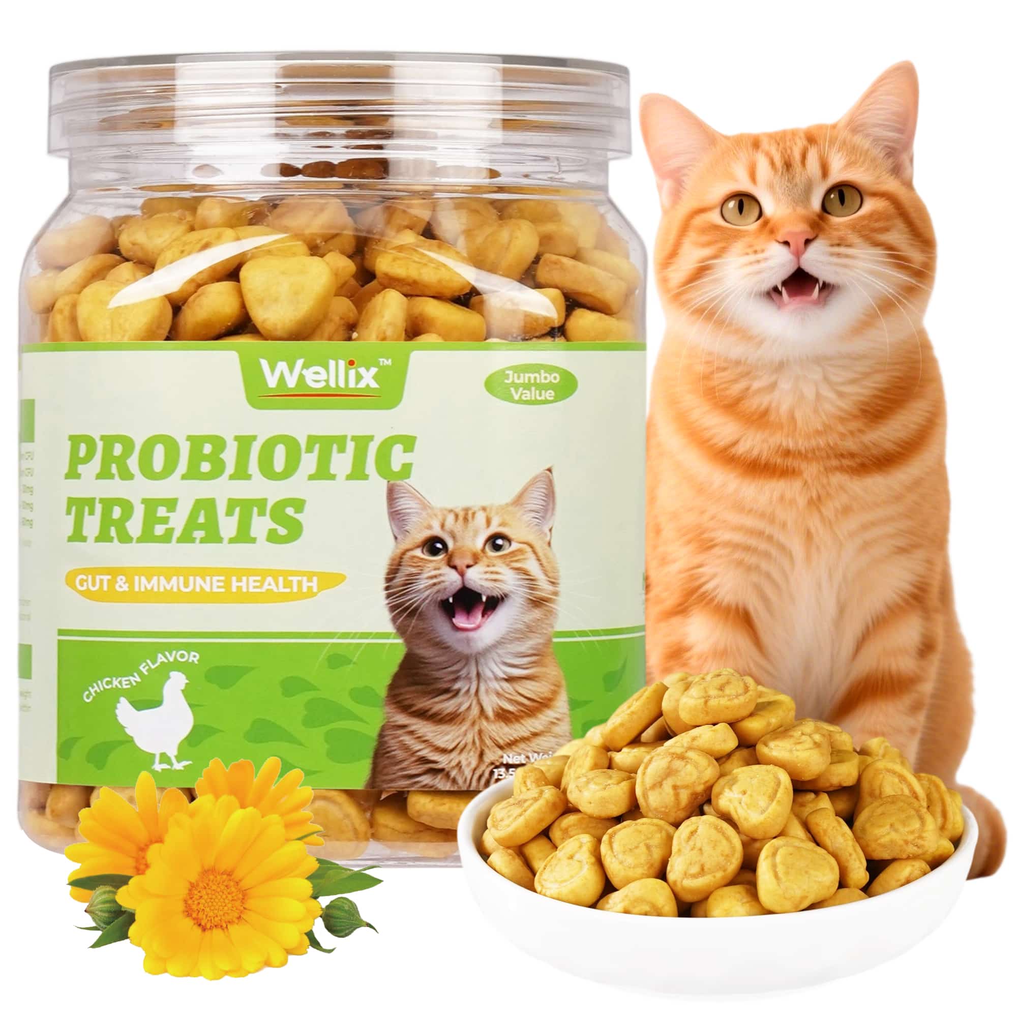 Wellix Probiotic Treats for Cats – 13.5oz Chicken-Flavored Biscuits with FOS & Inulin, Supports Digestive System & Immune Health-CritterCorner