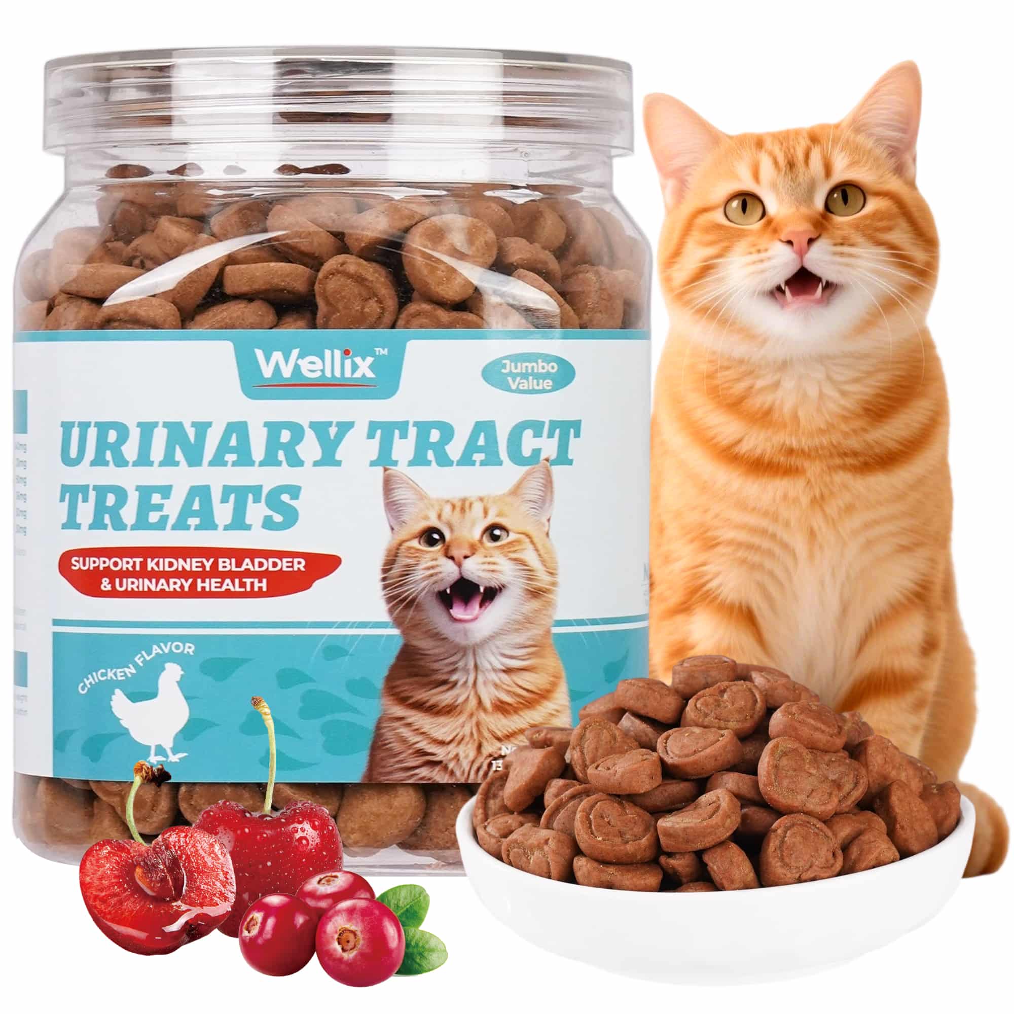 Wellix Urinary Tract Treats for Cats – 13.5oz Chicken-Flavored Biscuits with Dandelion & Cranberry, Supports Urinary Tract Health for Indoor Cats & Kittens-CritterCorner