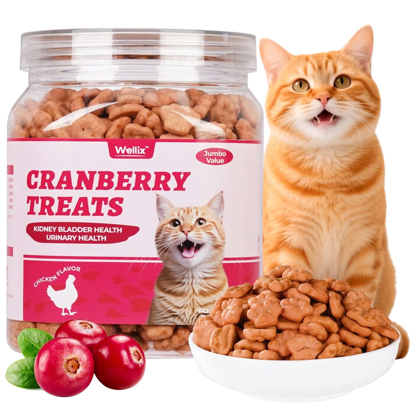 Wellix Cranberry Treats for Cats – 13.5oz Cranberry & Chicken Formula for Urinary Tract Health, Balance Urine pH-CritterCorner