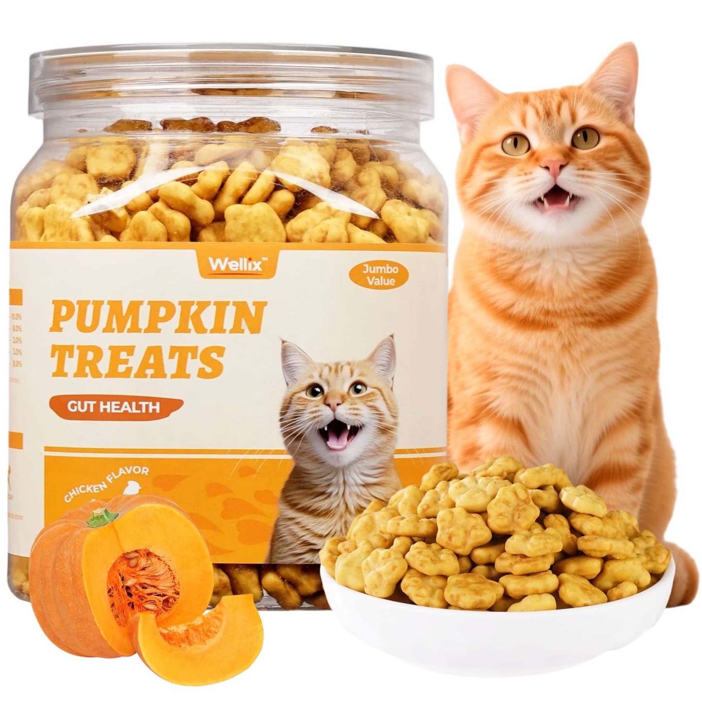 Wellix Pumpkin Treats for Cats – 13.5oz Pumpkin & Chicken Formula for Digestive Support & Constipation Relief (Low-Calorie for Sensitive Stomachs)-CritterCorner
