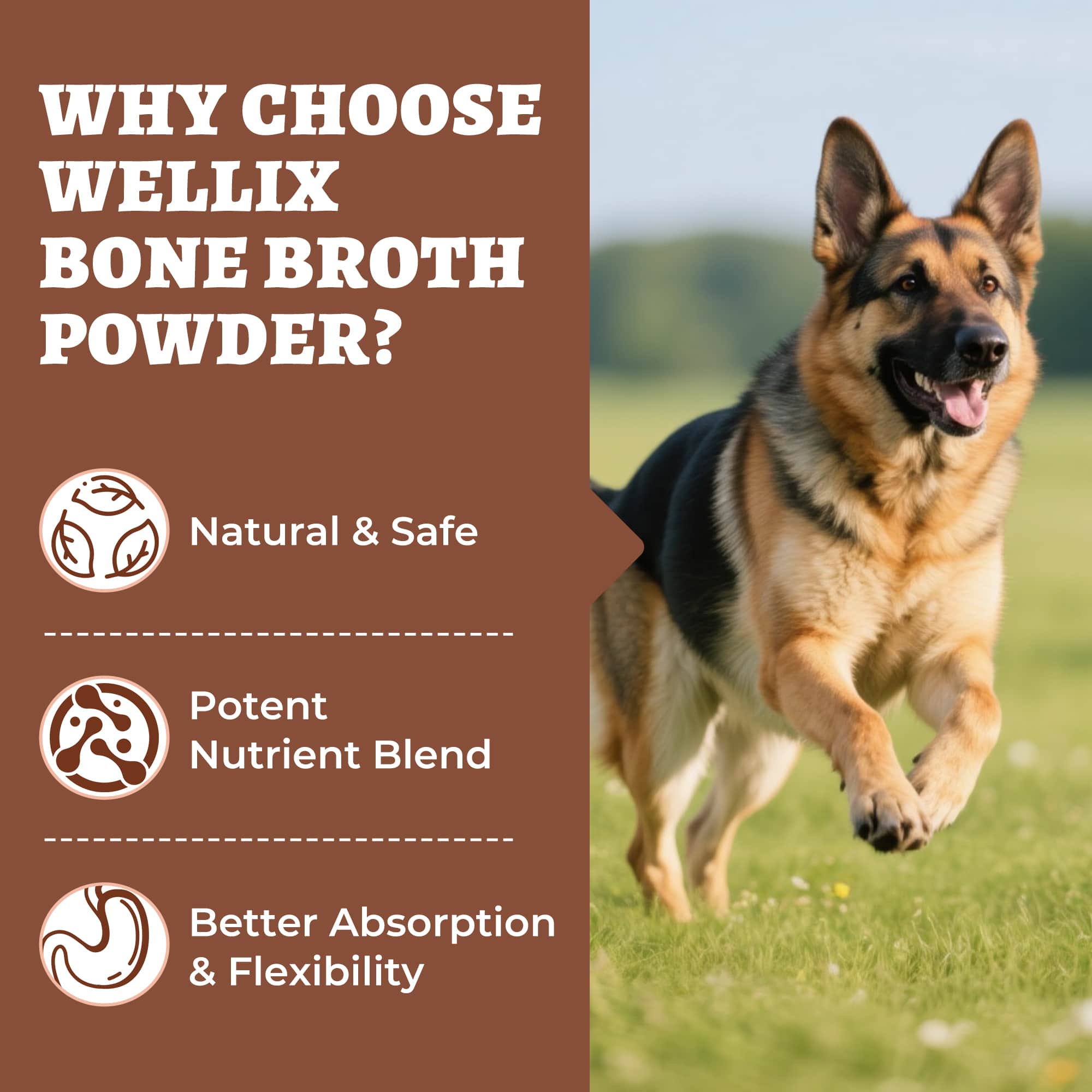 Wellix Bone Broth Powder for Dogs & Cats –  8.8oz Dog Food Toppers with Chondroitin and Collagen for Joint & Gut Health-CritterCorner