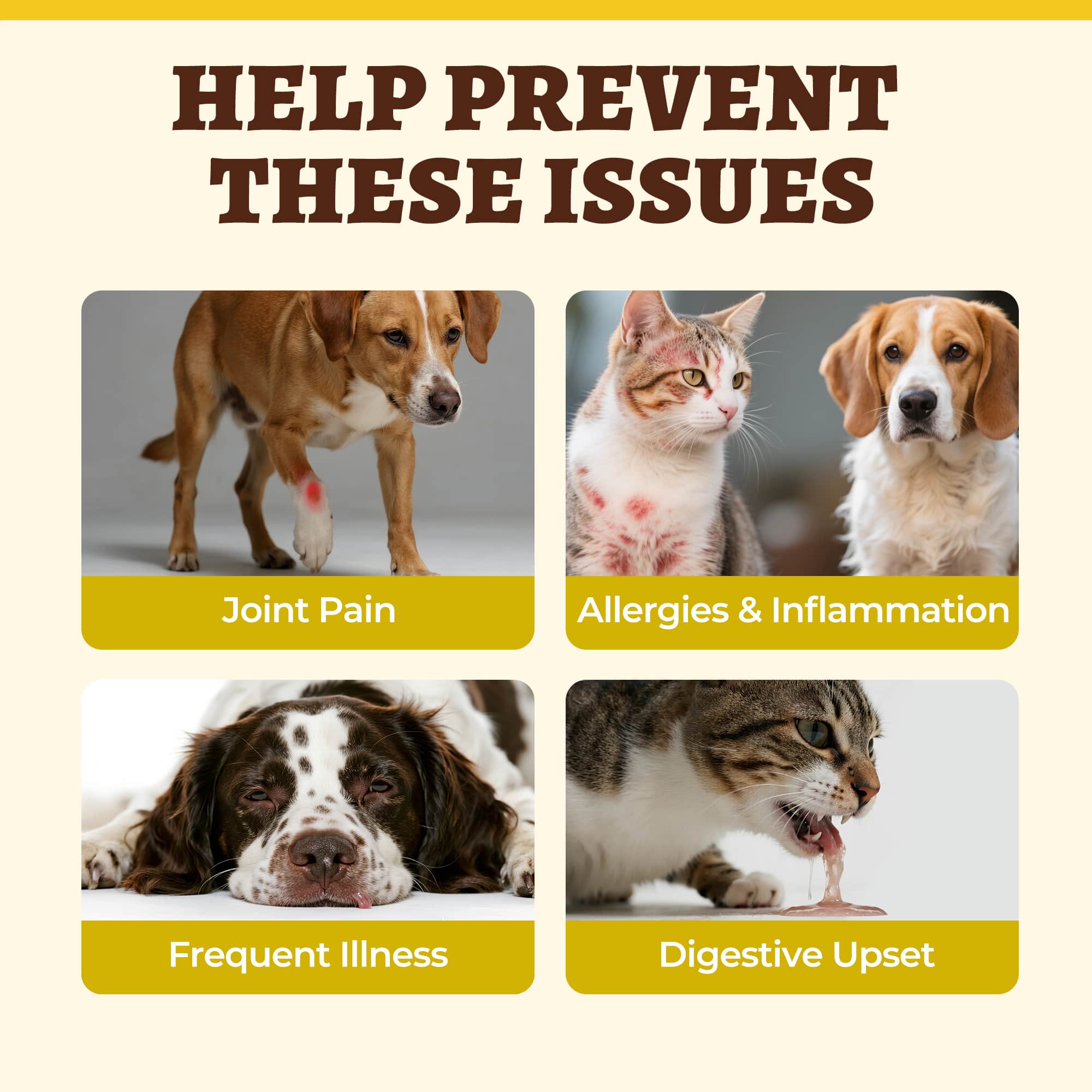 Wellix Turmeric Powder for Dogs & Cats - Easy Absorb Natural Turmeric Hip & Joint Supplement for Pain Relief & Anti-Inflammatory - 250g-CritterCorner