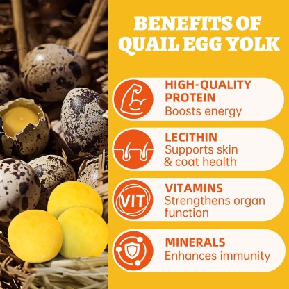 Wellix Freeze Dried Quail Eggs for Cats & Dogs - High-Protein Quail Egg Yolk Cat & Dog Treats for Skin & Coat Health - Delicious Training Snacks - 4.2oz-CritterCorner