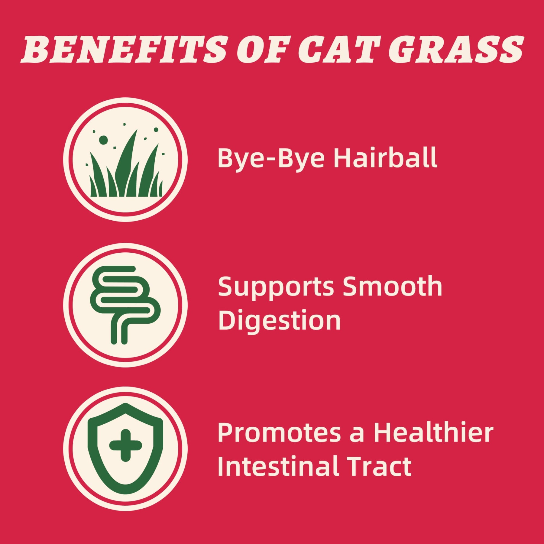 Wellix Cranberry Topper for Cats & Dogs – 7.05 oz Freeze Dried Cranberry, Egg Yolk & Chicken Formula, Low-Calorie & Tasty, for Urinary Tract Function & Antioxidant Defense-CritterCorner