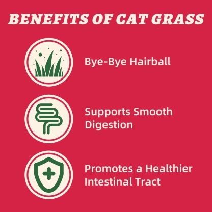 Wellix Cranberry Topper for Cats & Dogs – 7.05 oz Freeze Dried Cranberry, Egg Yolk & Chicken Formula, Low-Calorie & Tasty, for Urinary Tract Function & Antioxidant Defense-CritterCorner