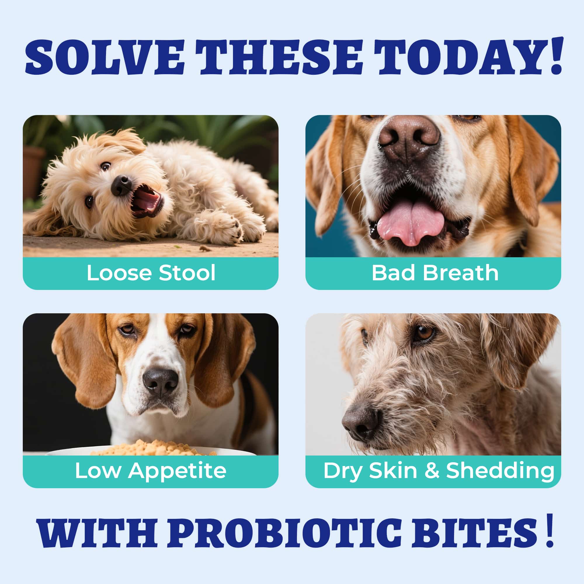 Wellix Probiotics for Dogs - Dog Probiotics & Prebiotics with Pumpkin for Digestive Health, Allergy & Itchy Skin Relief - Natural Gut Health Supplement - 260 Bites-CritterCorner