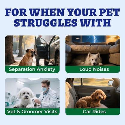 Wellix Calming Bites for Dogs – 260 Counts with Melatonin, L-Theanine & Valerian Root for Anxiety & Stress Relief, Puppies & Dogs-CritterCorner