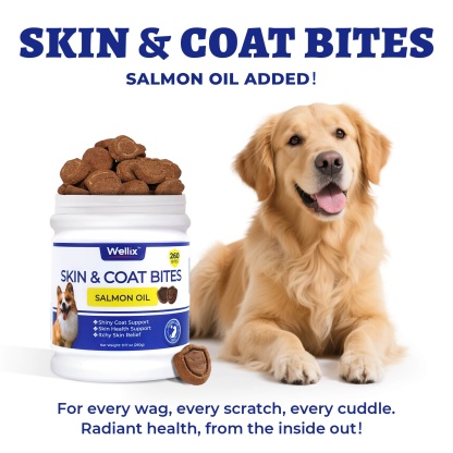 Wellix Dog Skin and Coat Supplement - Omega 3 Fish Oil for Dogs - Supports Skin & Coat, Itching Relief & Anti-Shedding - Tasty Allergy Chews - 260 Bites-CritterCorner