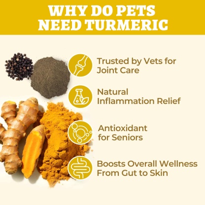 Wellix Turmeric Powder for Dogs & Cats - Easy Absorb Natural Turmeric Hip & Joint Supplement for Pain Relief & Anti-Inflammatory - 250g-CritterCorner