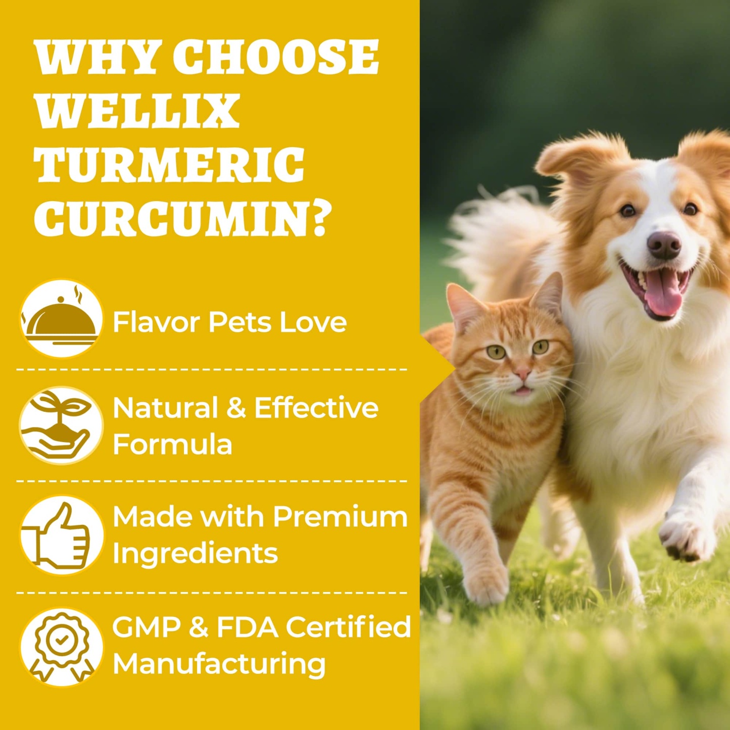 Wellix Turmeric Powder for Dogs & Cats - Easy Absorb Natural Turmeric Hip & Joint Supplement for Pain Relief & Anti-Inflammatory - 250g-CritterCorner