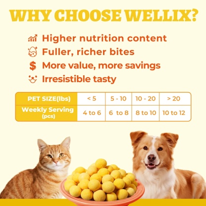 Wellix Freeze Dried Quail Eggs for Cats & Dogs - High-Protein Quail Egg Yolk Cat & Dog Treats for Skin & Coat Health - Delicious Training Snacks - 4.2oz-CritterCorner