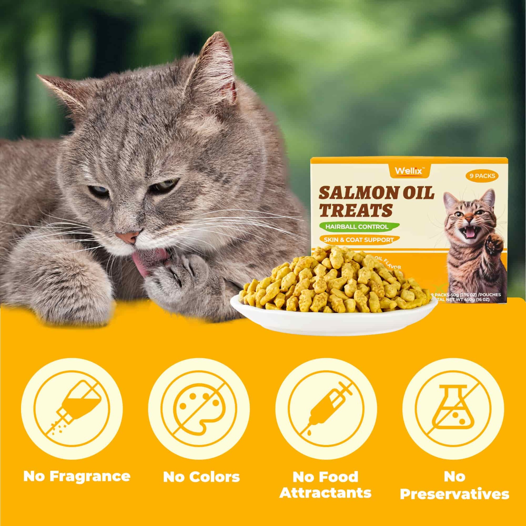 Wellix Cat Treats - Salmon Oil & Cat Grass Flavor Healthy Kitten Snacks for Joint Support & Healthy Skin - Indoor Cat Biscuits - 16oz/450g-CritterCorner