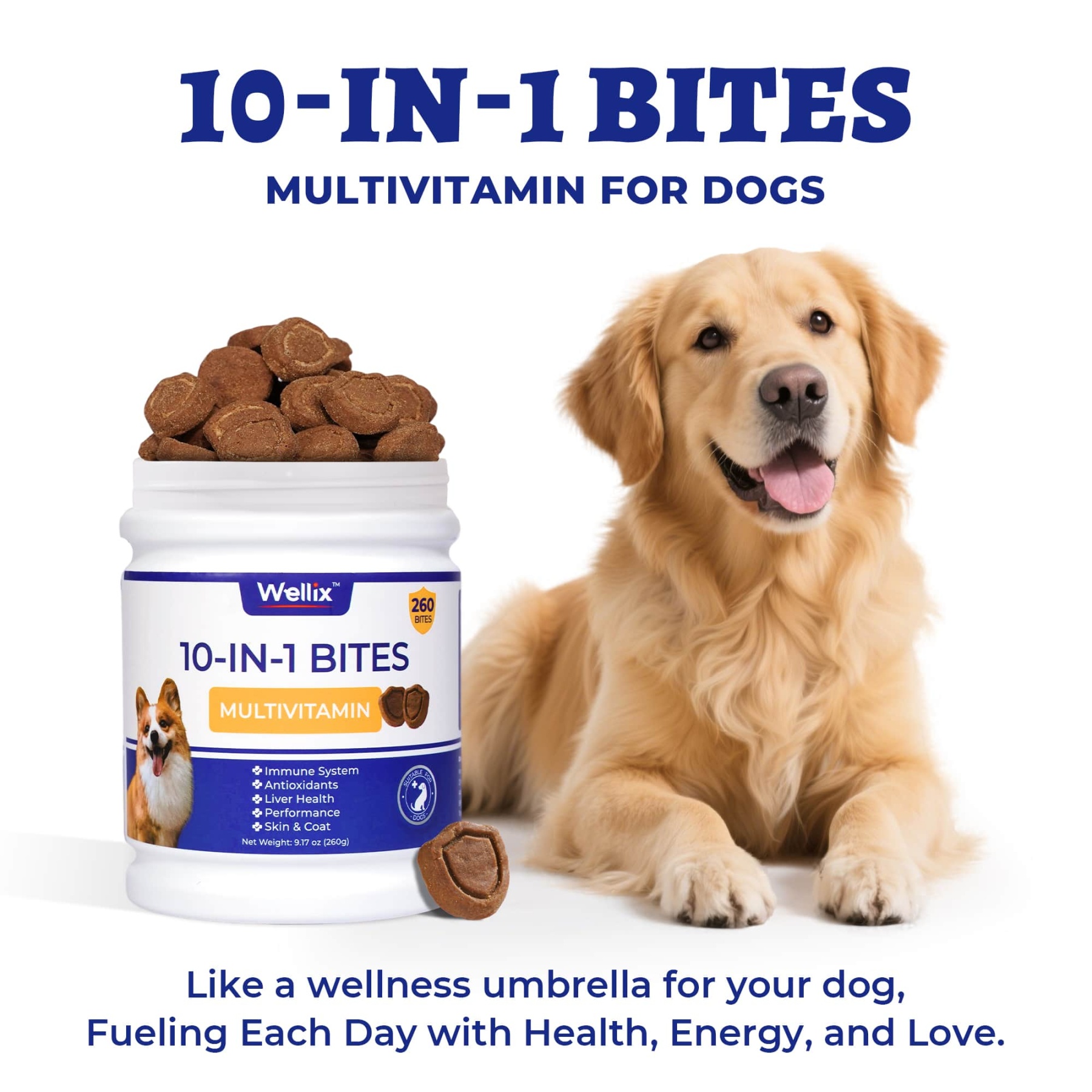 Wellix 10-in-1 Dog Vitamins - Multivitamin Supplement for Immune Support, Hip & Joint, Skin & Coat, Liver & Gut Health - Antioxidant Dog Supplement - 260 Bites-CritterCorner