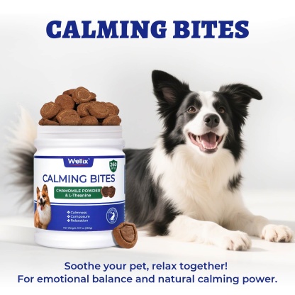 Wellix Calming Bites for Dogs – 260 Counts with Melatonin, L-Theanine & Valerian Root for Anxiety & Stress Relief, Puppies & Dogs-CritterCorner
