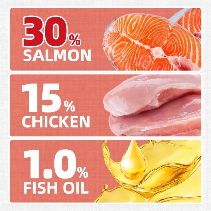 JUSTTRY Salmon Cat Treats – Crunchy Cat  Snacks Omega-3 for Joint, Skin, Coat & Dental Health | Training Treats for Indoor Cats, 16oz-CritterCorner