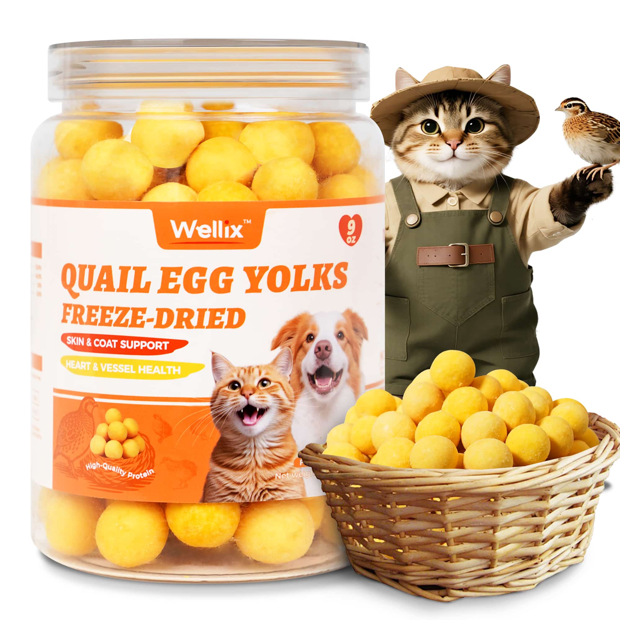 Wellix Freeze Dried Quail Eggs for Cats & Dogs - High-Protein Quail Egg Yolk Cat & Dog Treats for Skin & Coat Health - Delicious Training Snacks - 4.2oz-CritterCorner