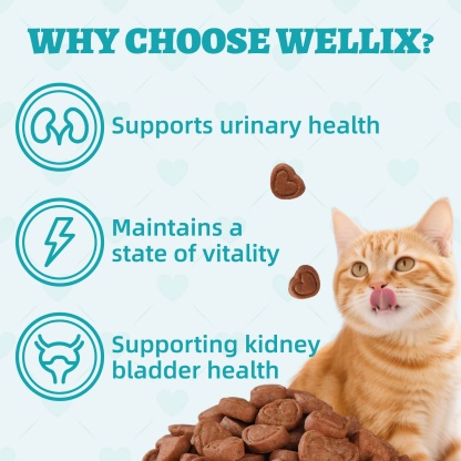 Wellix Urinary Tract Treats for Cats – 13.5oz Chicken-Flavored Biscuits with Dandelion & Cranberry, Supports Urinary Tract Health for Indoor Cats & Kittens-CritterCorner