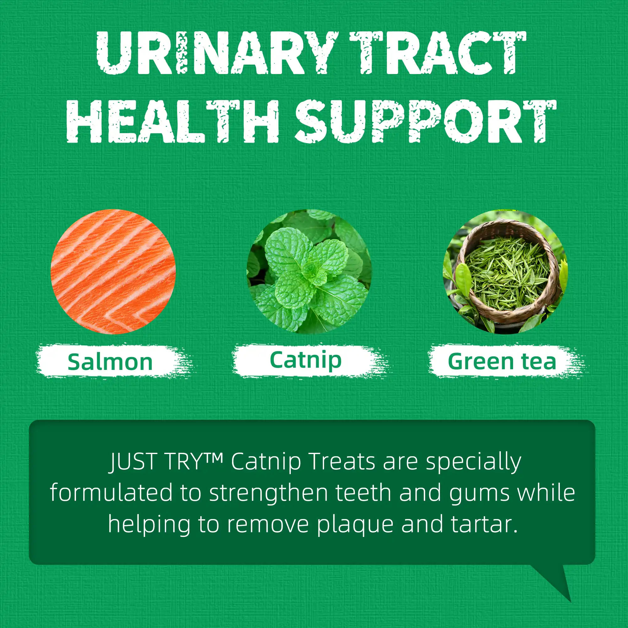 JUSTTRY Catnip Cat Treats – Chicken-Flavored Training Biscuits for Dental Health & Hairball Control, 13.4oz-CritterCorner