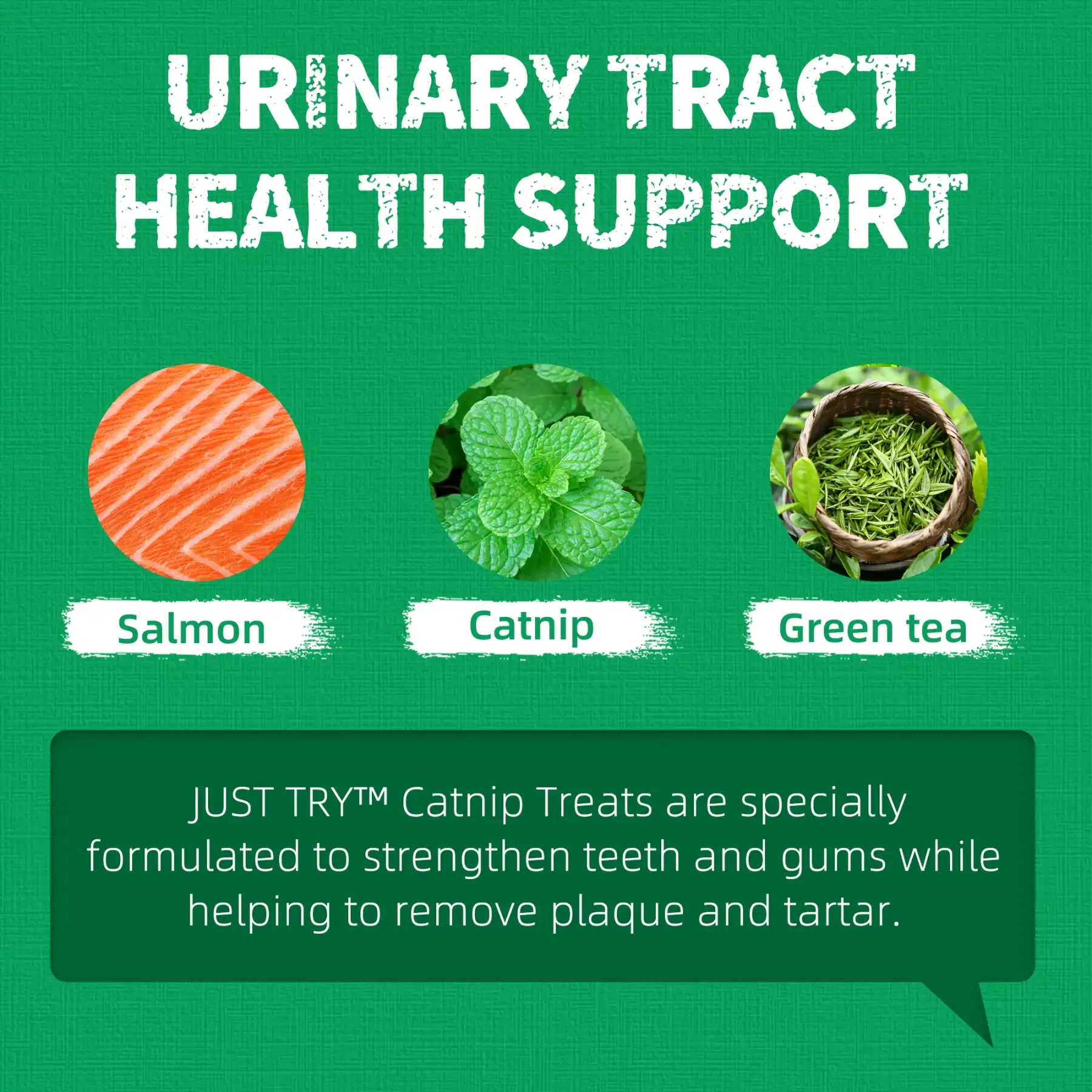 JUSTTRY Catnip Cat Treats – Chicken-Flavored Training Biscuits for Dental Health & Hairball Control, 13.4oz-CritterCorner