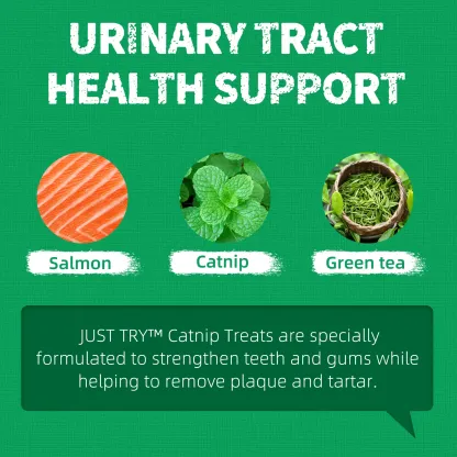 JUSTTRY Catnip Cat Treats – Chicken-Flavored Training Biscuits for Dental Health & Hairball Control, 13.4oz-CritterCorner