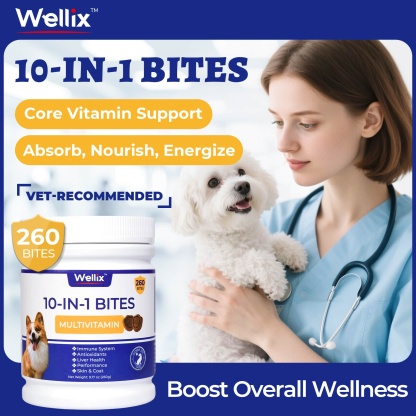 Wellix 10-in-1 Dog Vitamins - Multivitamin Supplement for Immune Support, Hip & Joint, Skin & Coat, Liver & Gut Health - Antioxidant Dog Supplement - 260 Bites-CritterCorner