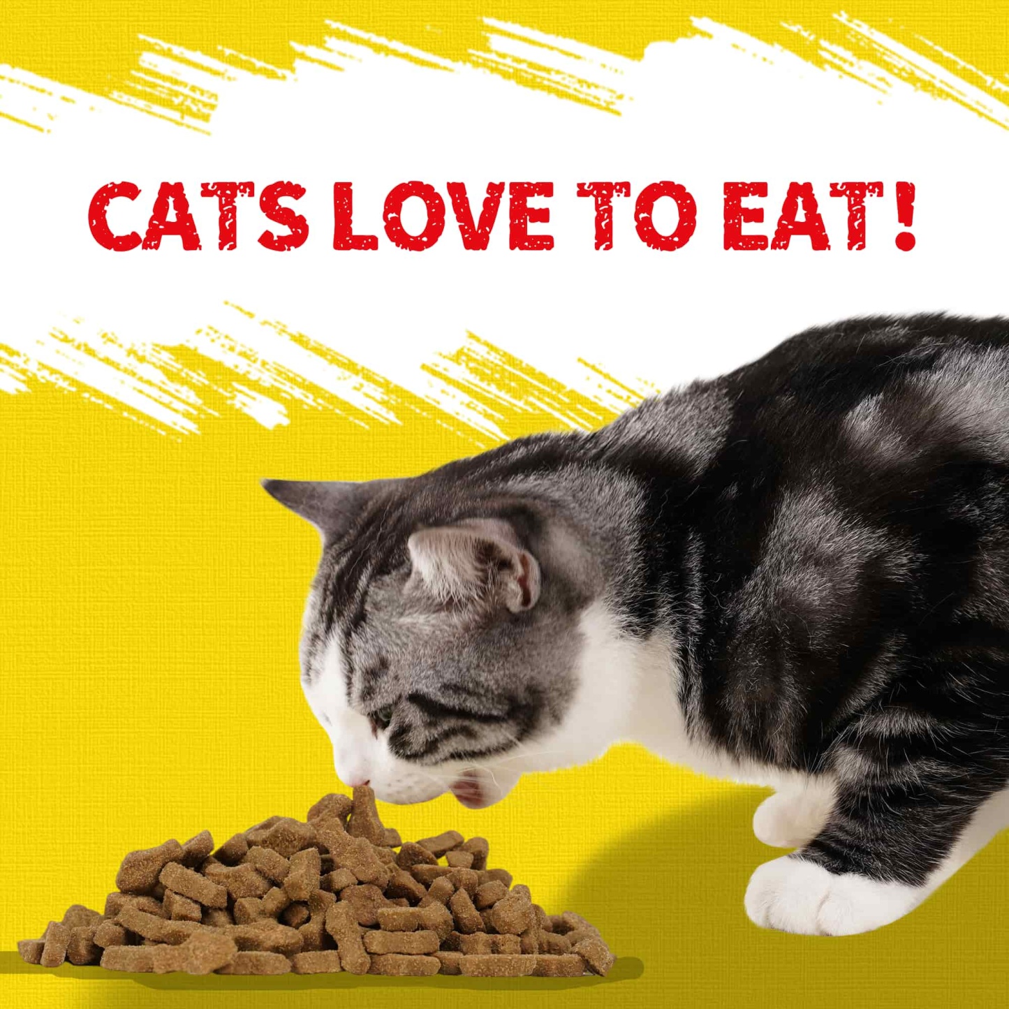 JUSTTRY Chicken Cat Treats –High-Protein Low-Calorie & Grain-Free Crunchy Snacks with Natural Chicken Flavor for Indoor Cats, 16oz-CritterCorner