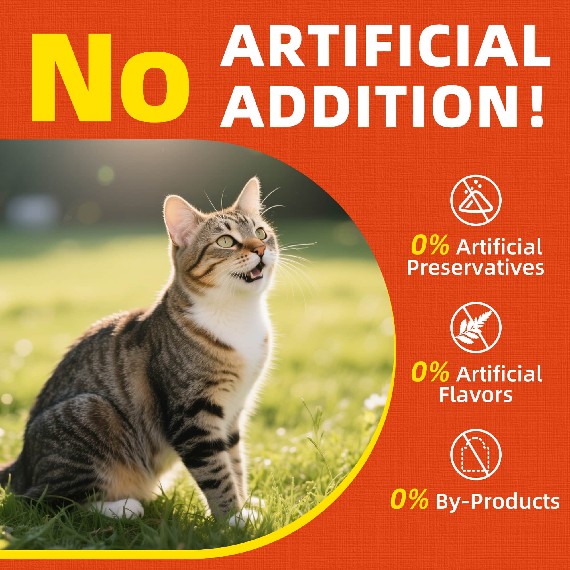 JUSTTRY Freeze-Dried Antarctic krill – Grain-Free High-Protein Dog & Cat Treats with Omega-3 for Skin & Coat, 4.6oz-CritterCorner