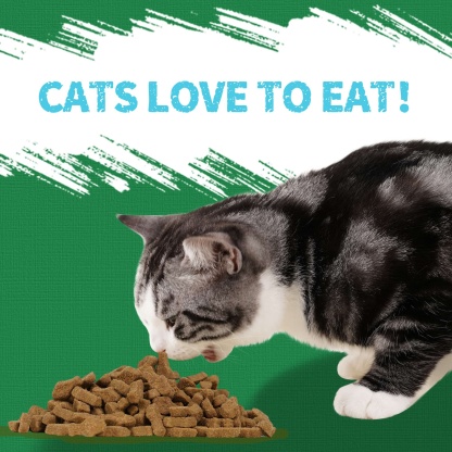 JUSTTRY Kale & Spinach Cat Treats – Gluten-Free Low-Calorie Snacks with Natural Chicken Flavor for Indoor Cats, 16oz-CritterCorner