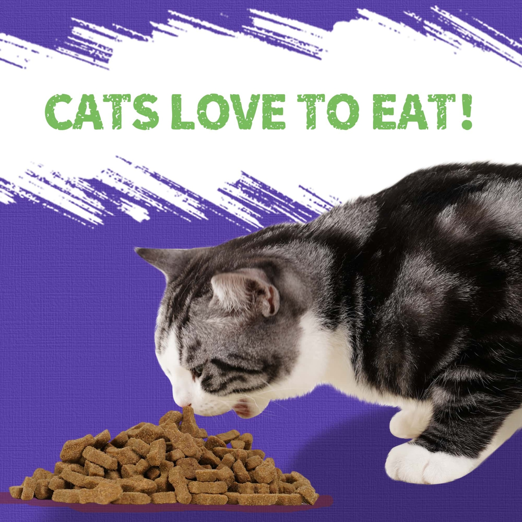 JUSTTRY Blueberry Cat Treats – Gluten-Free Low-Calorie Snacks with Natural Chicken Flavor for Indoor Cats, 16oz-CritterCorner