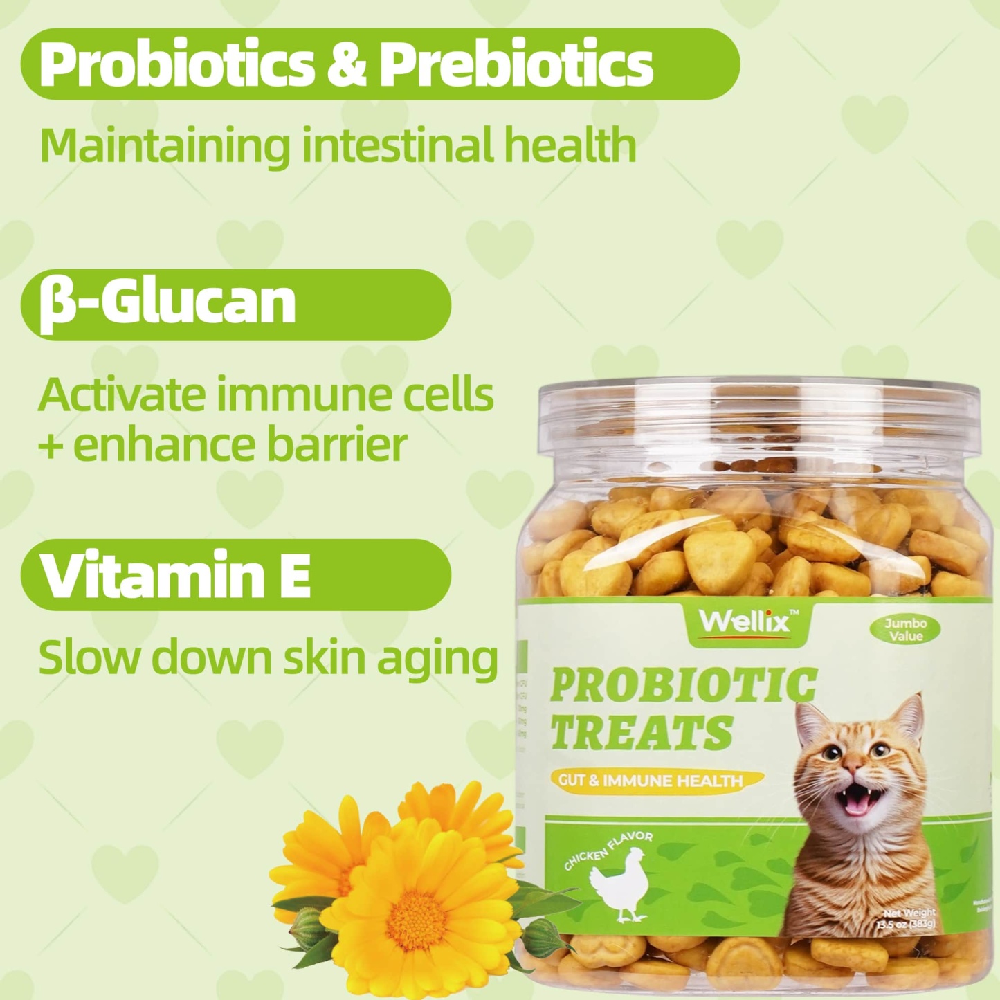 Wellix Probiotic Treats for Cats – 13.5oz Chicken-Flavored Biscuits with FOS & Inulin, Supports Digestive System & Immune Health-CritterCorner