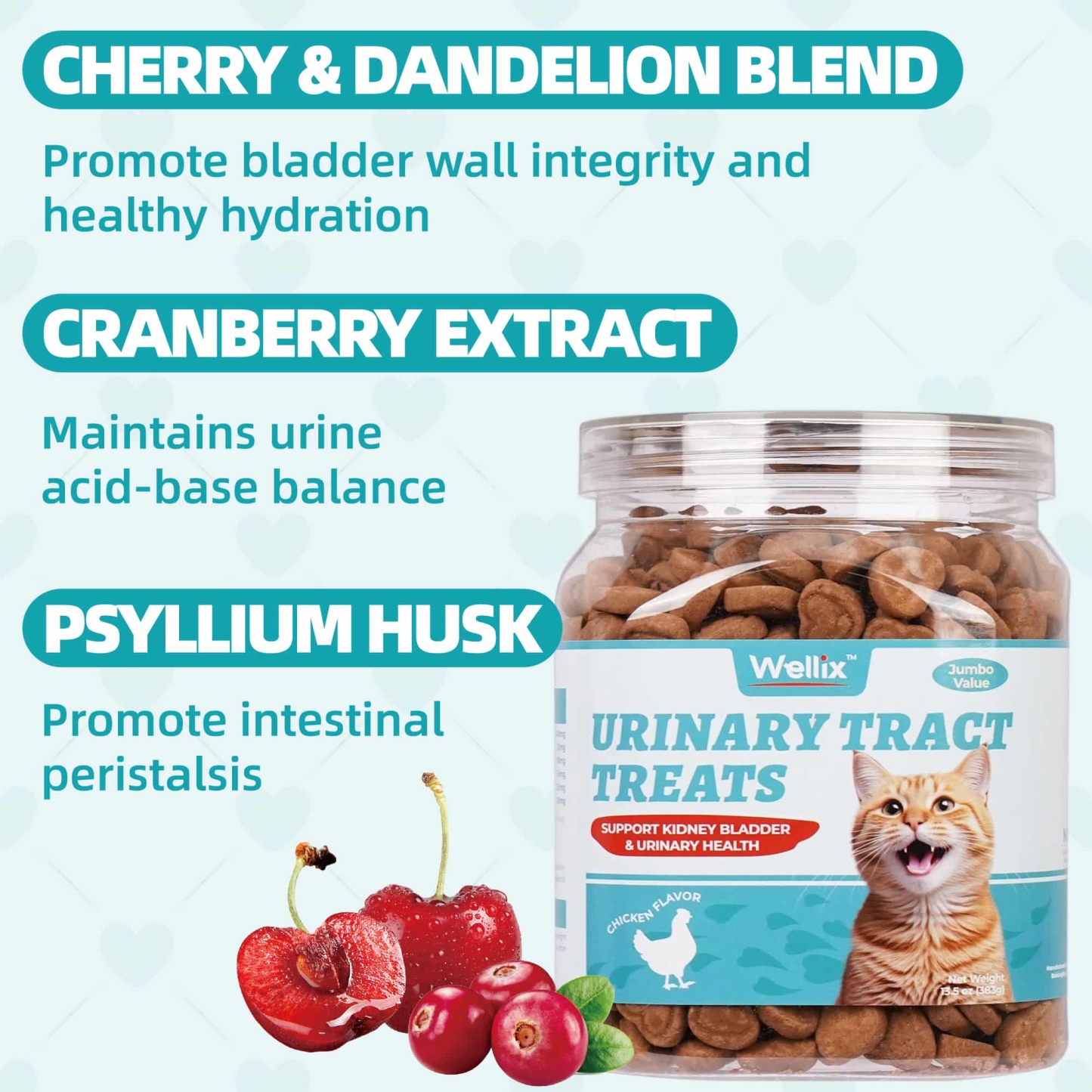 Wellix Urinary Tract Treats for Cats – 13.5oz Chicken-Flavored Biscuits with Dandelion & Cranberry, Supports Urinary Tract Health for Indoor Cats & Kittens-CritterCorner