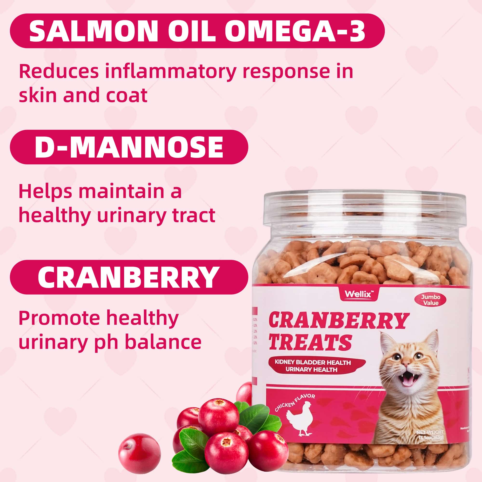 Wellix Cranberry Treats for Cats – 13.5oz Cranberry & Chicken Formula for Urinary Tract Health, Balance Urine pH-CritterCorner