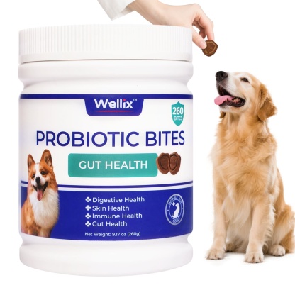 Wellix Probiotics for Dogs - Dog Probiotics & Prebiotics with Pumpkin for Digestive Health, Allergy & Itchy Skin Relief - Natural Gut Health Supplement - 260 Bites-CritterCorner