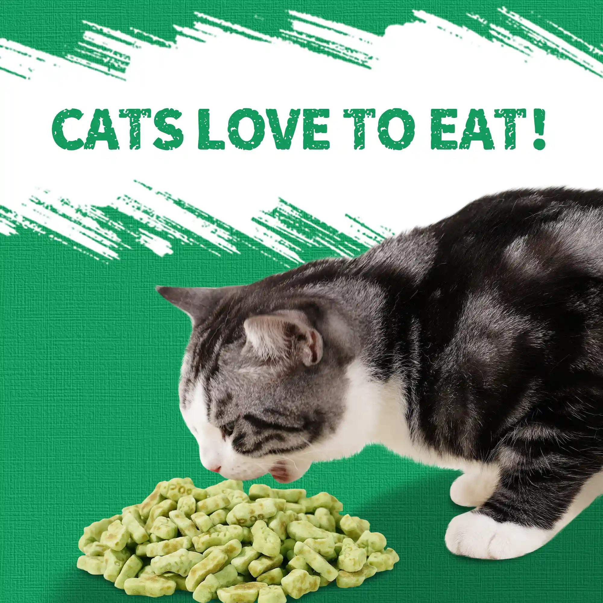 JUSTTRY Catnip Cat Treats – Chicken-Flavored Training Biscuits for Dental Health & Hairball Control, 13.4oz-CritterCorner