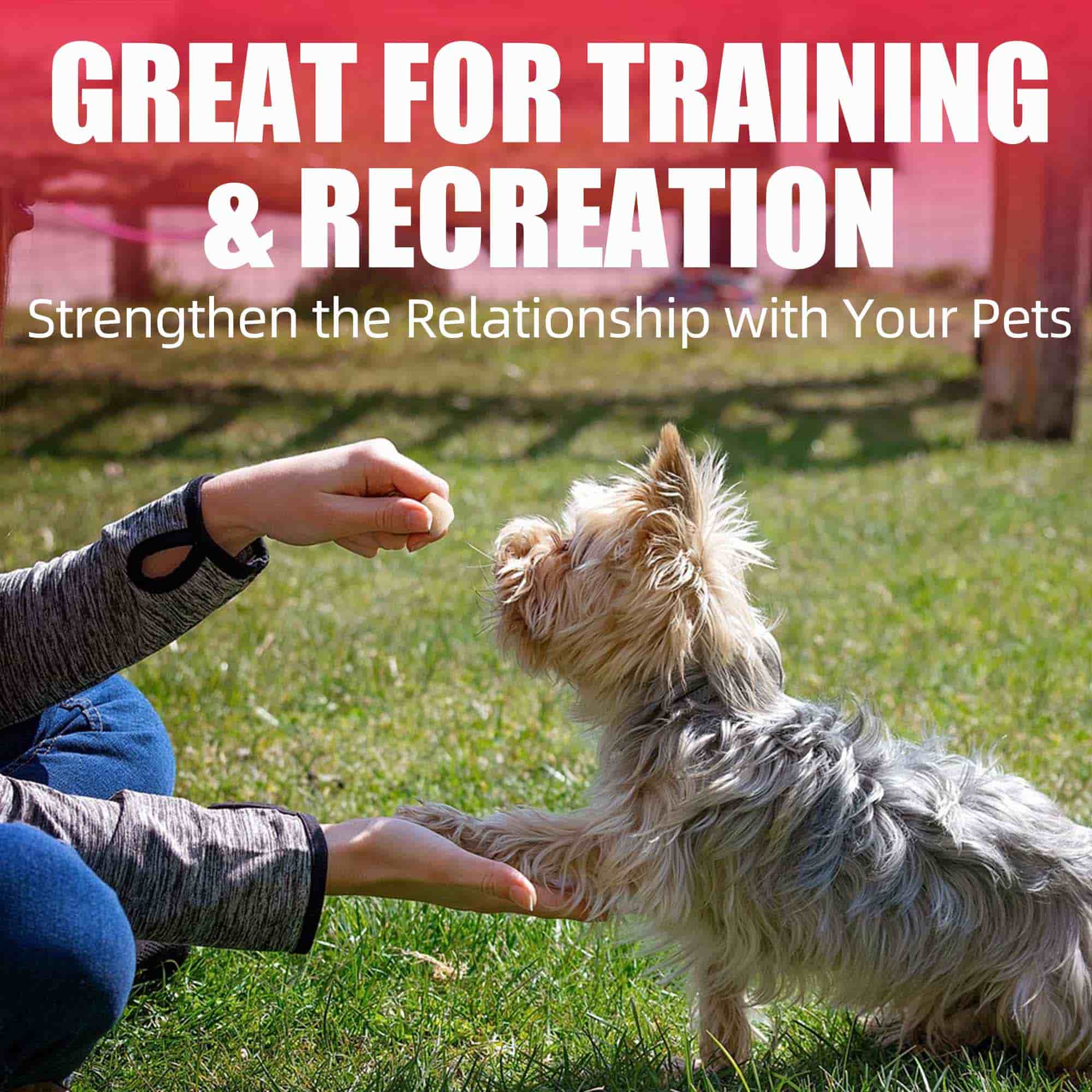 JUSTTRY Freeze-Dried Chicken Treats – High-Protein, Grain-Free Dog & Cat Treats for Training & Raw Food, 7.05oz-CritterCorner