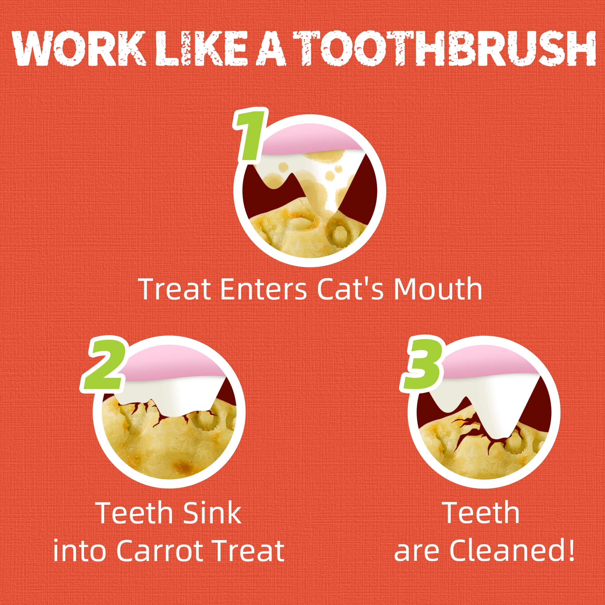 JUSTTRY Carrot Cat Treats – Vitamin-Rich Crunchy Biscuits with Natural Chicken Flavor for Eye & Skin Health | Healthy Training Treats for Indoor Cats, 16oz-CritterCorner