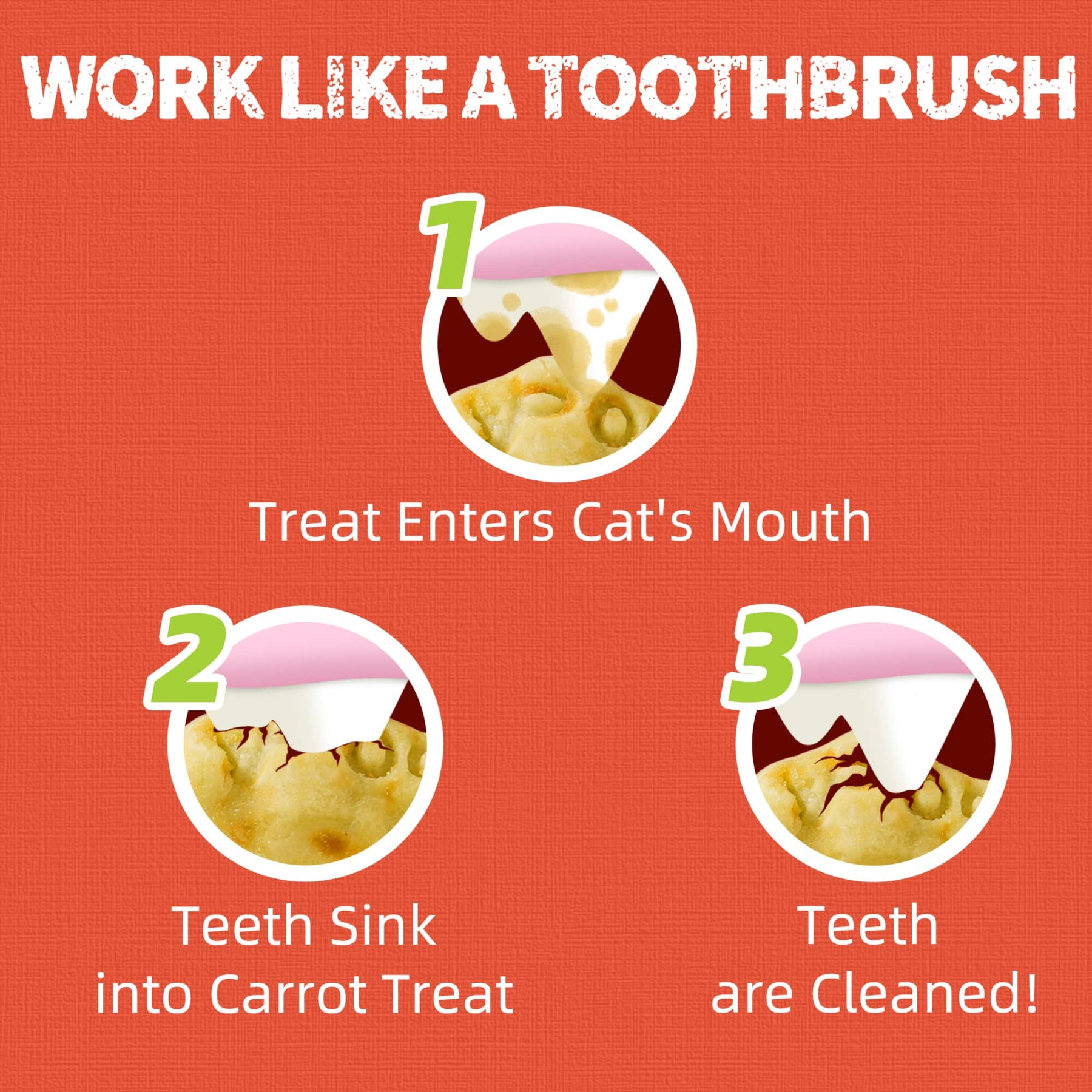 JUSTTRY Carrot Cat Treats – Vitamin-Rich Crunchy Biscuits with Natural Chicken Flavor for Eye & Skin Health | Healthy Training Treats for Indoor Cats, 16oz-CritterCorner