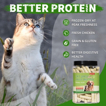 JUSTTRY Freeze-Dried Cat Grass Teething Sticks with Chicken – Natural Training Treats & Food Topper for Hairball Control, Teeth Cleaning & Dental Health, 6.34oz-CritterCorner
