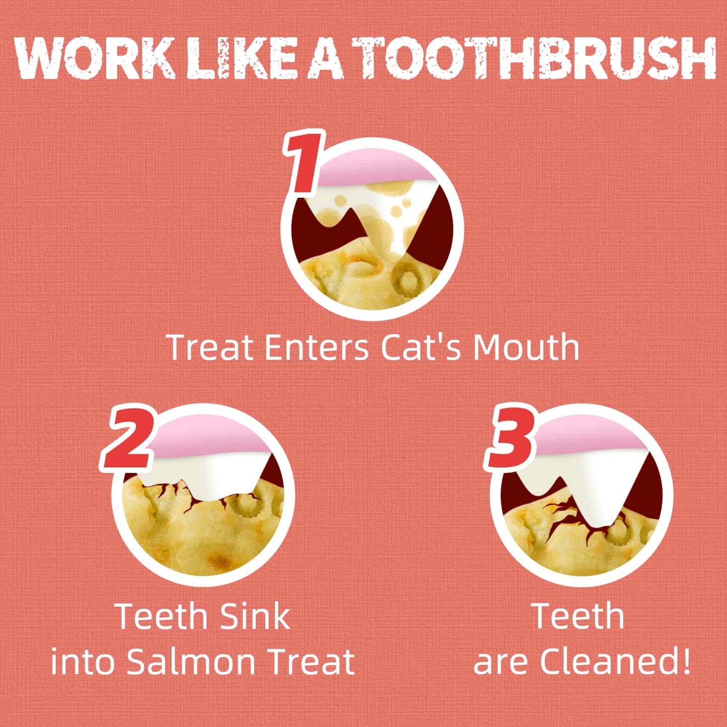 JUSTTRY Salmon Cat Treats – Crunchy Cat  Snacks Omega-3 for Joint, Skin, Coat & Dental Health | Training Treats for Indoor Cats, 16oz-CritterCorner